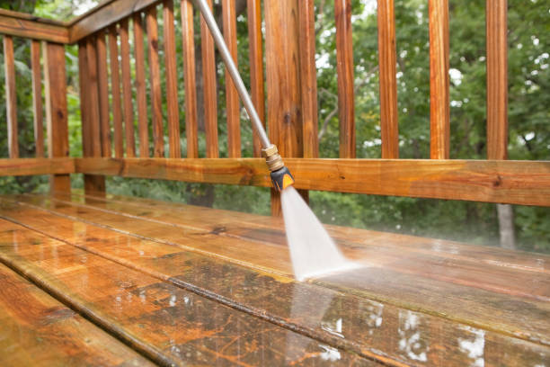 Best Fence Cleaning  in Pocahontas, IA